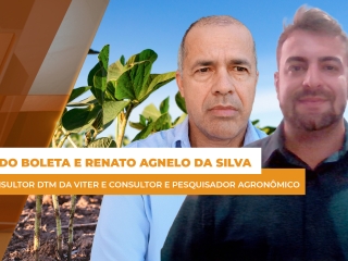 entrevista 1