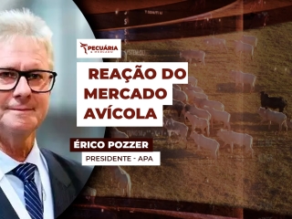 erico