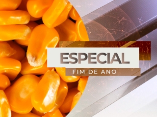 especial fim de ano milho