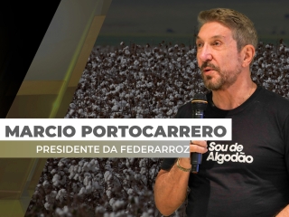 especial_marcio_site