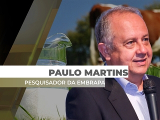 especial_paulo_martins_site