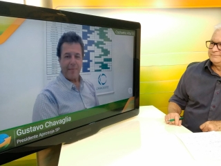 Gustavo Chavaglia e Joao Batista