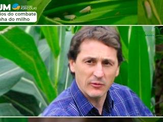 Ricardo Casa - Dr. em fitopatologia e professor CAV-UDESC