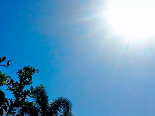 Sol