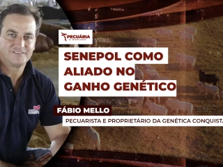 fabio
