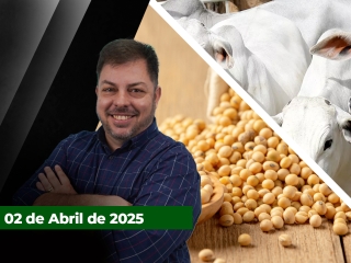 fecha-02-04
