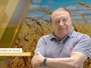 fecha soja site