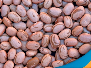 feijao