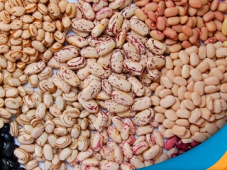 feijao