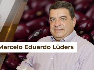 Feijão28 site