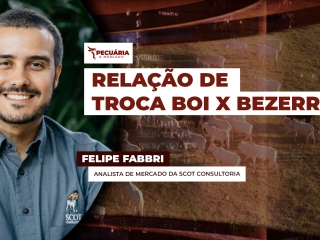 felipe