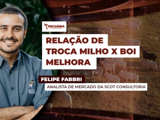 felipe