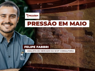FELIPE