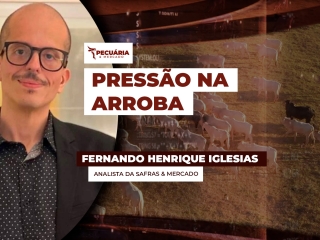 FERNANDO