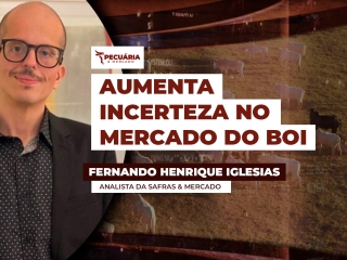 FERNANDO