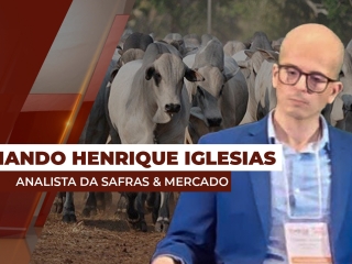 fernando-destaque-site