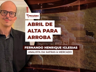 FERNANDO-YT