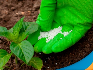 fertilizantes-1