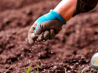 fertilizantes