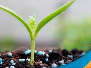 fertilizantes