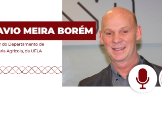 Flavio-borem-thumb