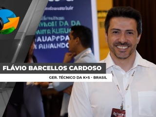 Flávio-site