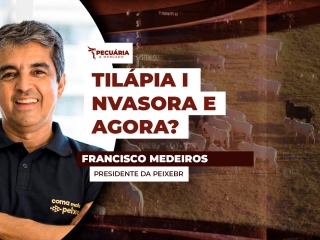 FRANCISCO - THUMB 1