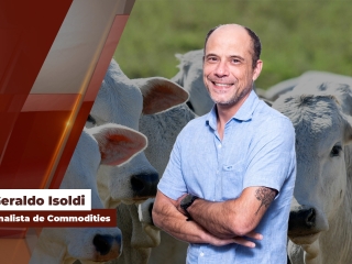 geraldo site