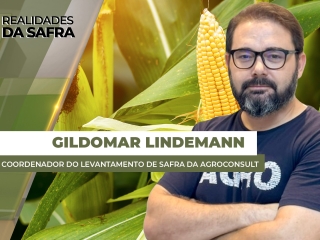 GILDOMAR SITE