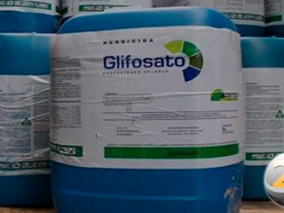 glifosato