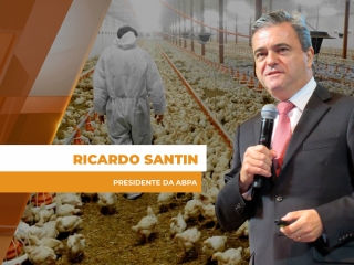 granjeiros st