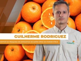 guilherme 2,