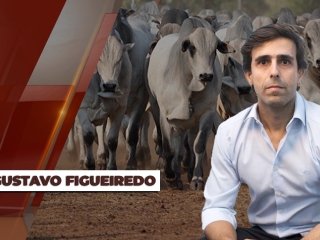 Gustavo-Figueiredo