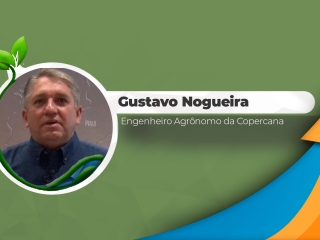 Gustavo-Nogueira