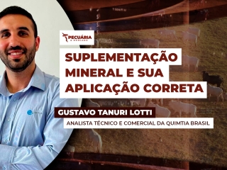gustavo-totti
