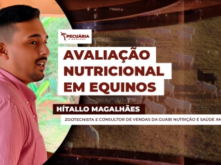 HITALO