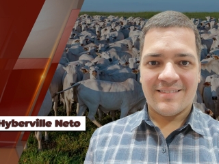Hyberville-Neto