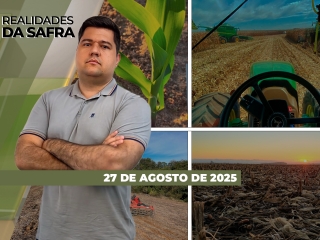 íntegra 27-08