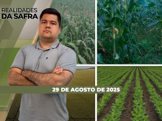 íntegra 29-08