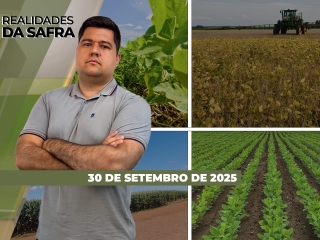 íntegra 30-09