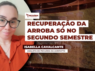 isa