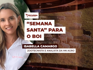 isabella