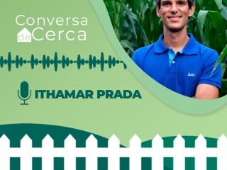 ITHAMAR-INSTA