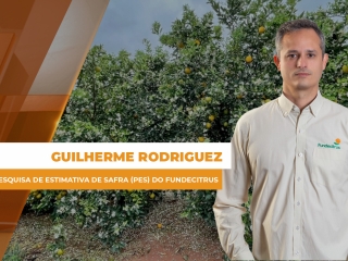 Laranja SITE