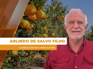 laranja - site