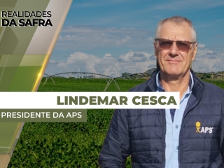 lidemar