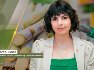 Lívea site