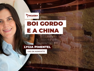 lygia