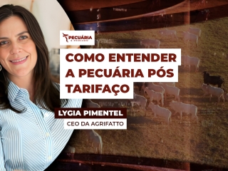 Lygia