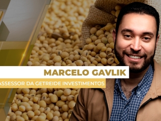 marcelo-destaque